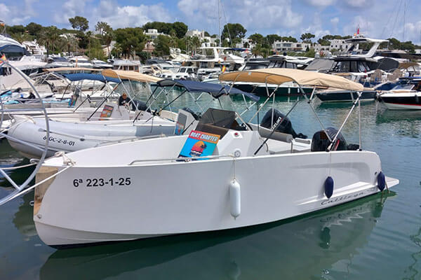 Star Boat cattleya x6 Banner